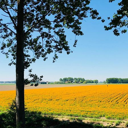 Slapen Bij De Zeeuwse Lala Bed & Breakfast IJzendijke Eksteriør bilde