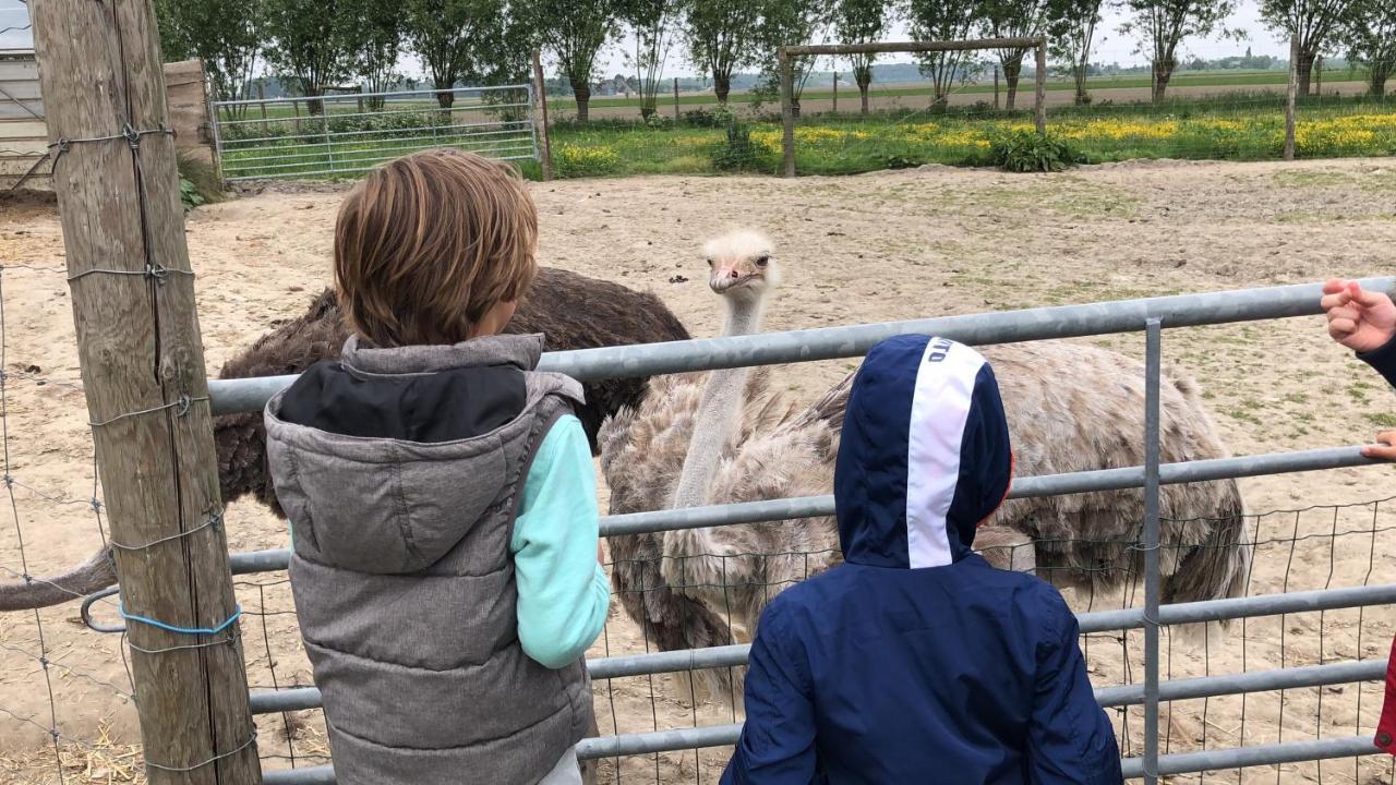 Slapen Bij De Zeeuwse Lala Bed & Breakfast IJzendijke Eksteriør bilde